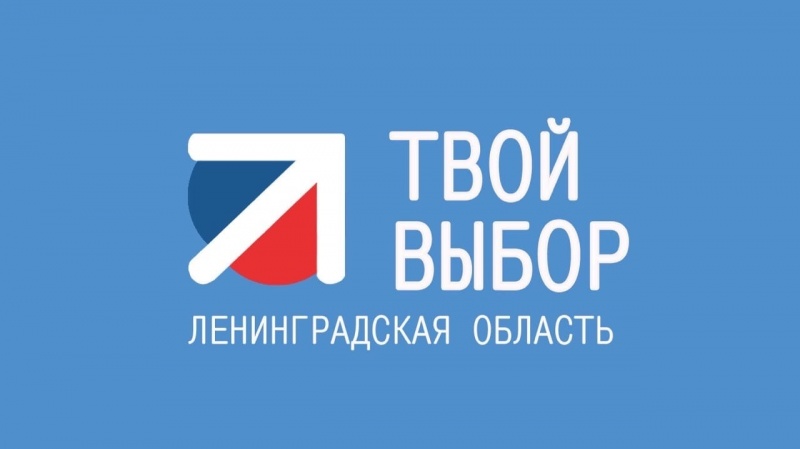 Проект твой выбор